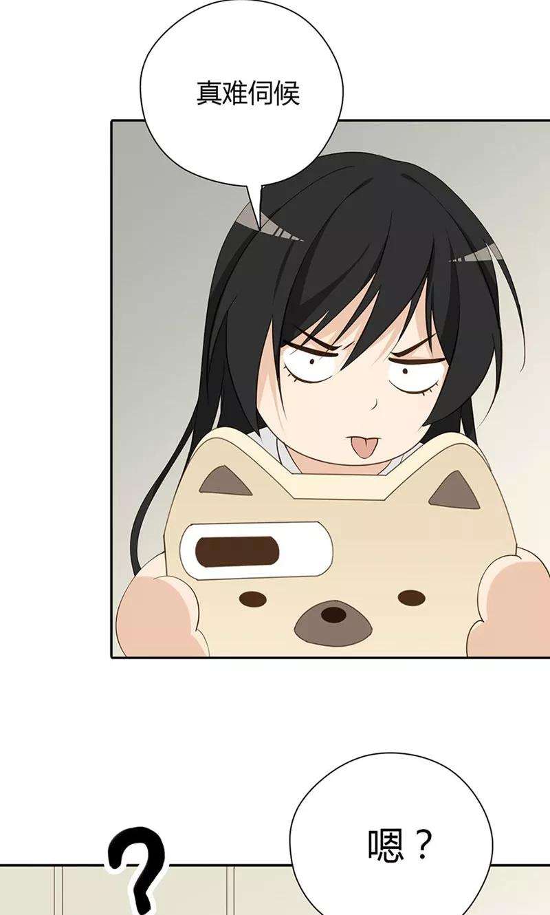 31.jpg