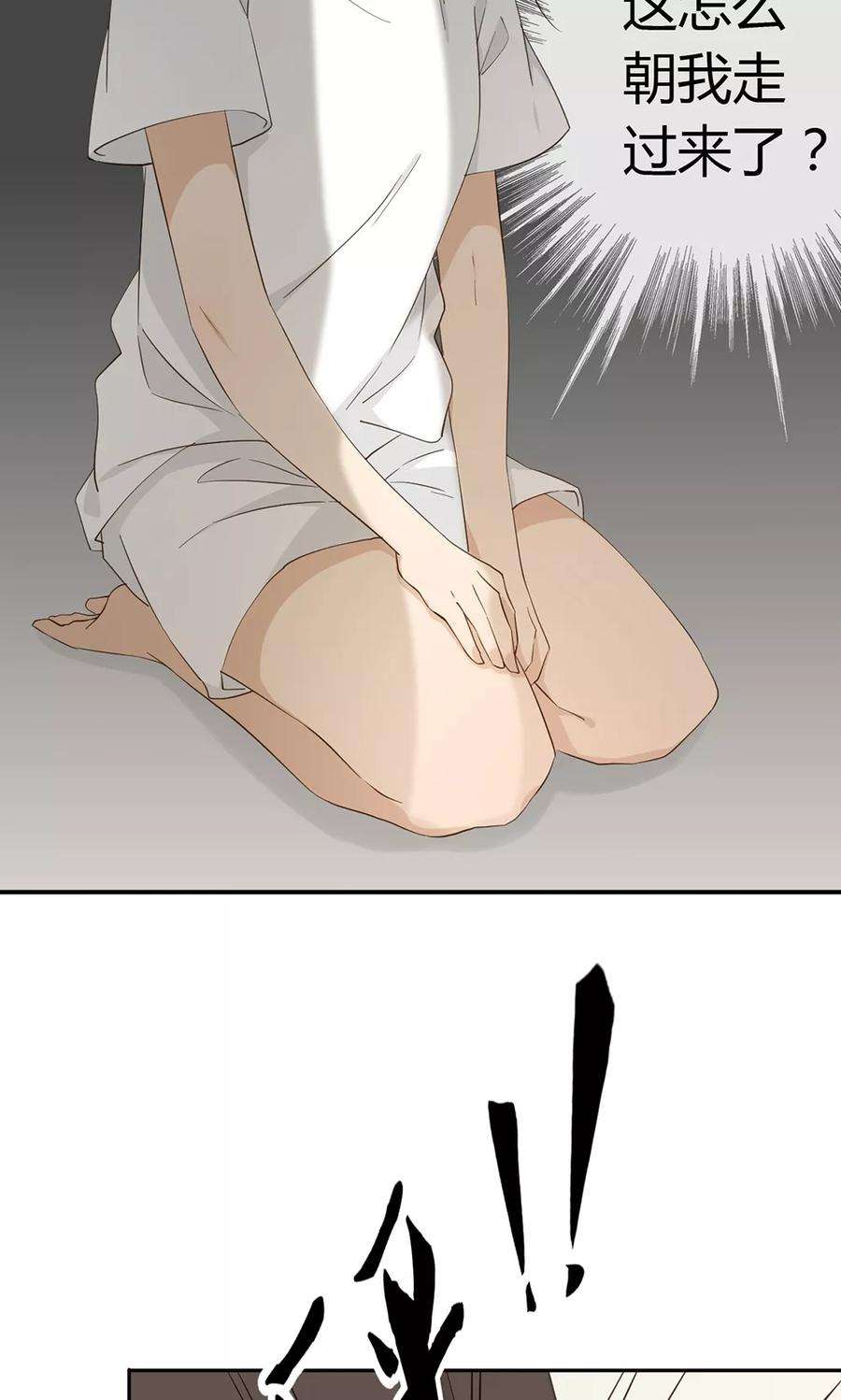33.jpg