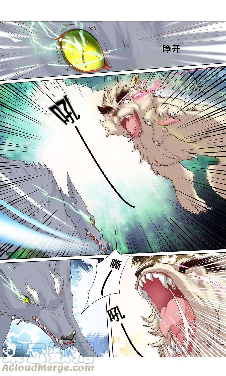 5.jpg