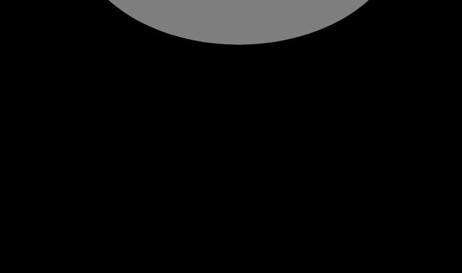 94.jpg