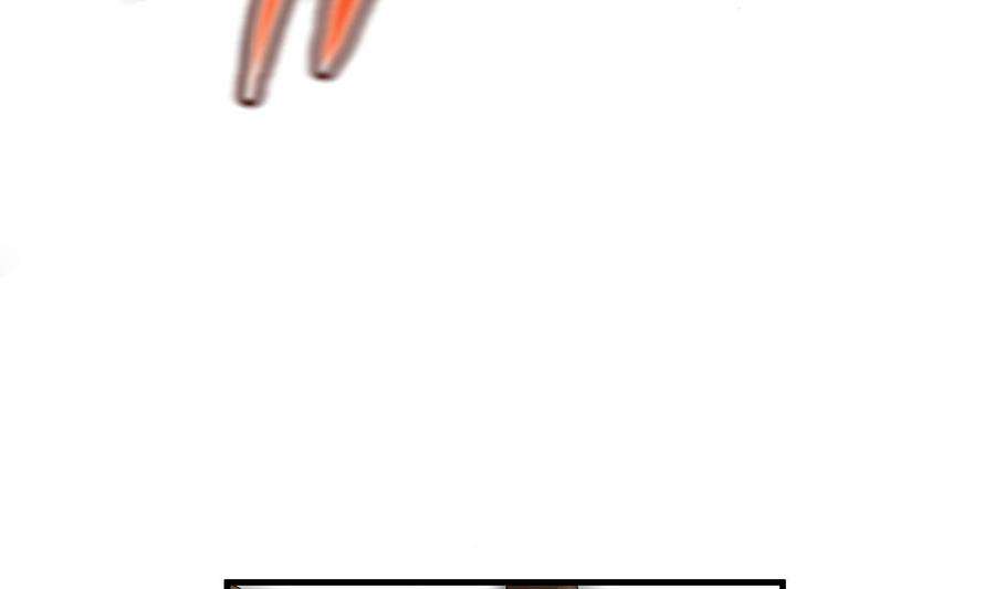 91.jpg