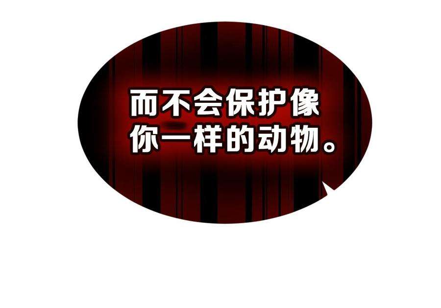 80.jpg