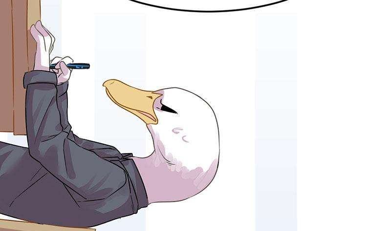 62.jpg