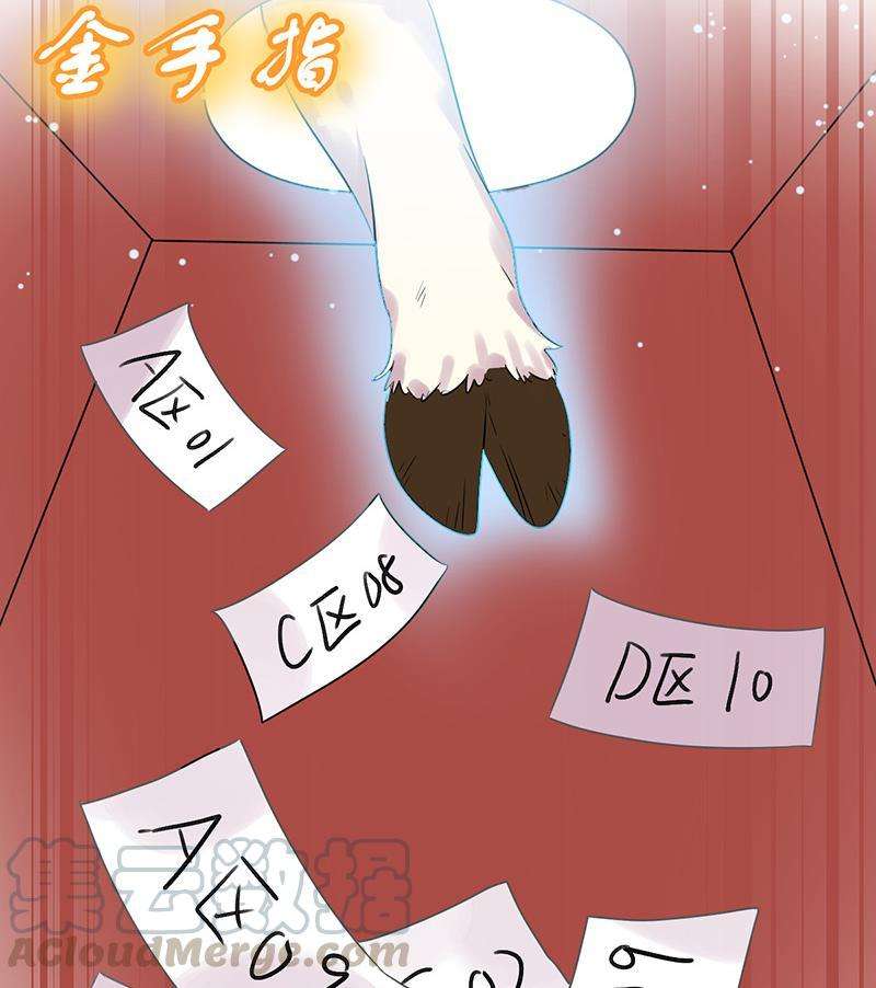 41.jpg