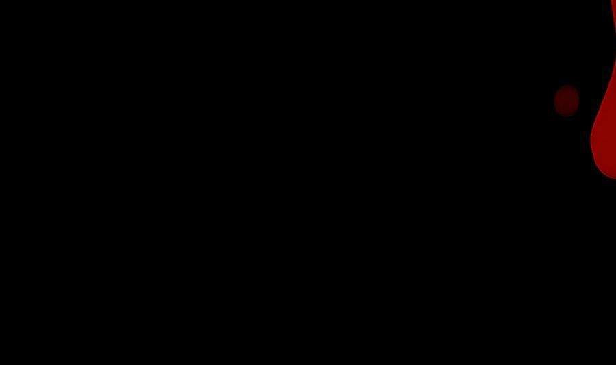 133.jpg