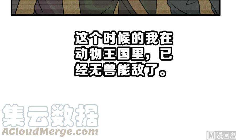 51.jpg