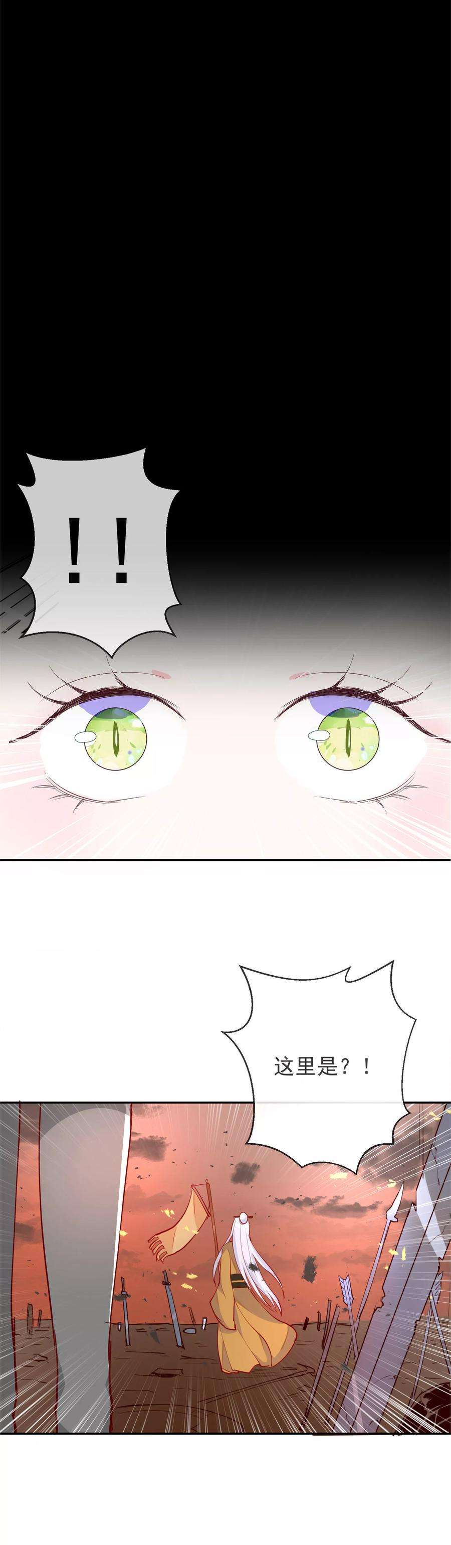 13.jpg