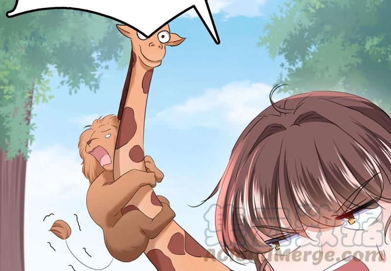 69.jpg