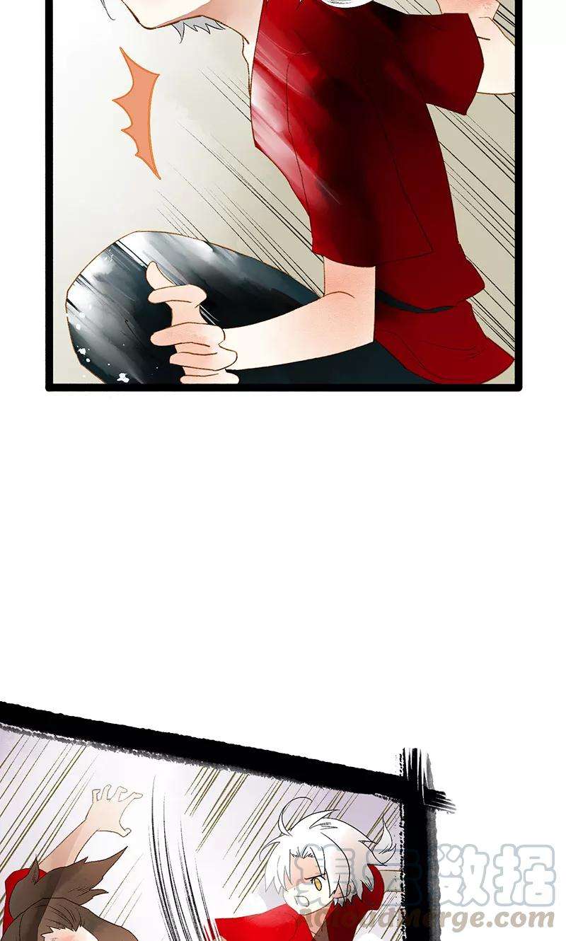 21.jpg
