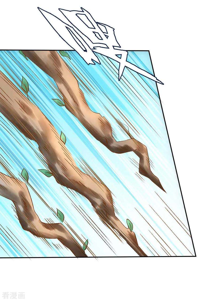 15.jpg