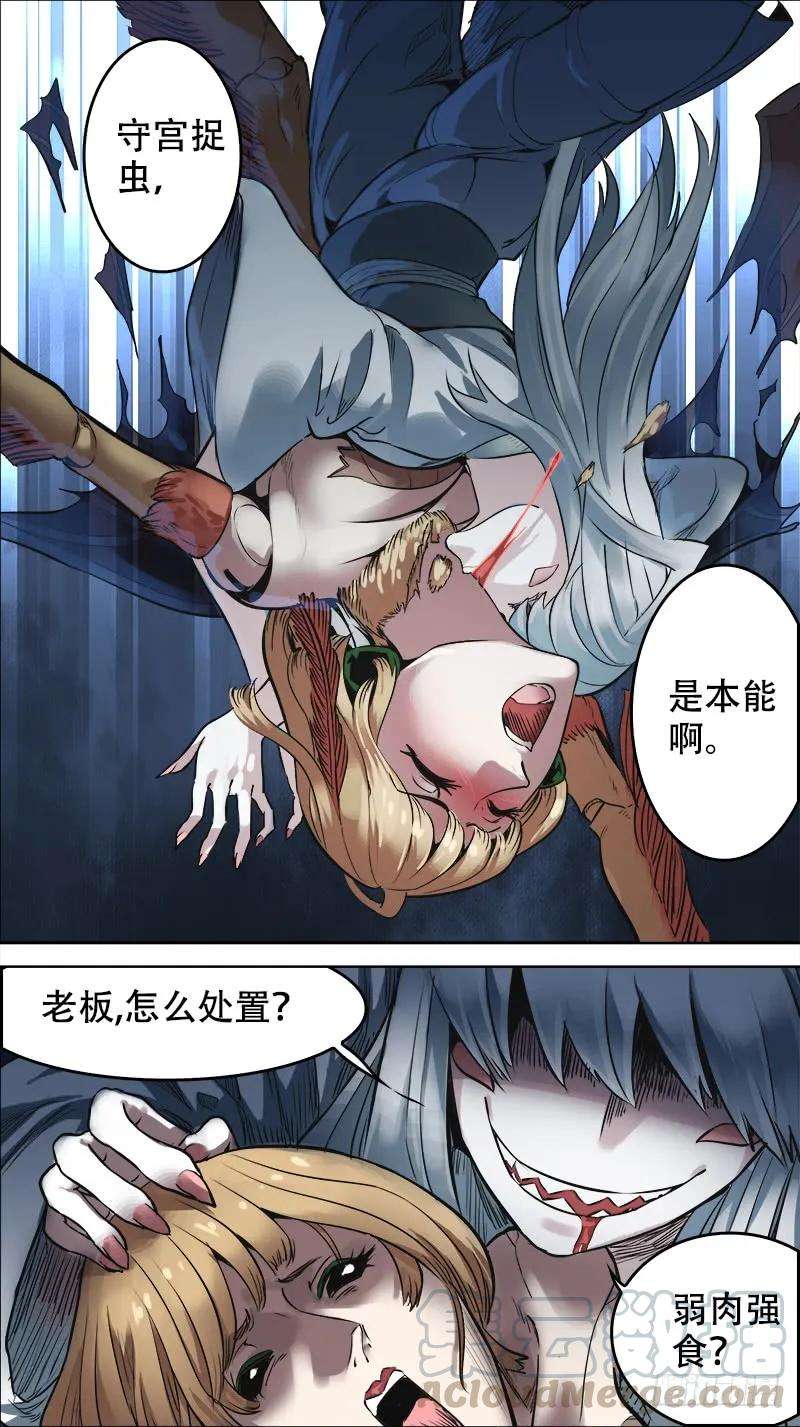 5.jpg