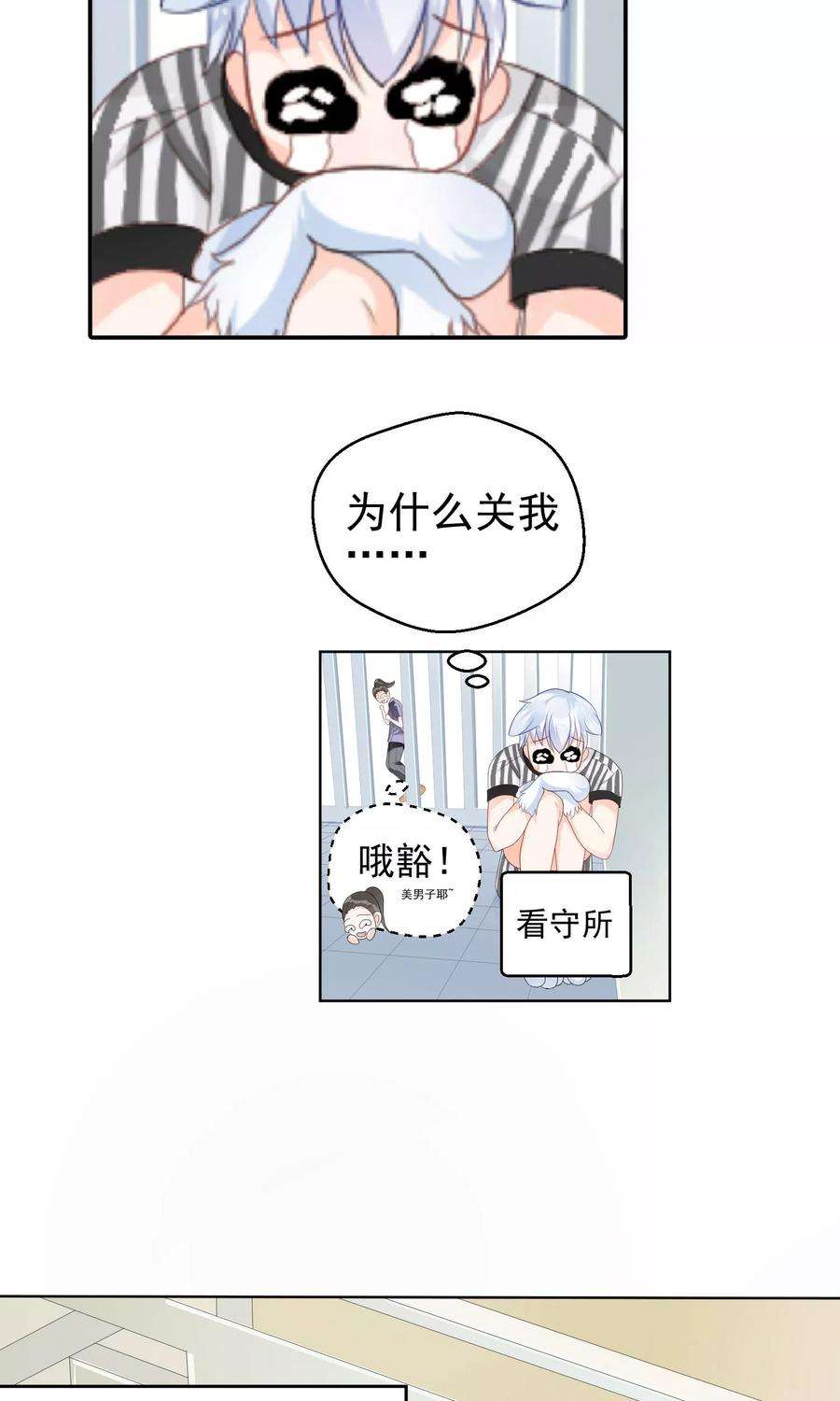 13.jpg