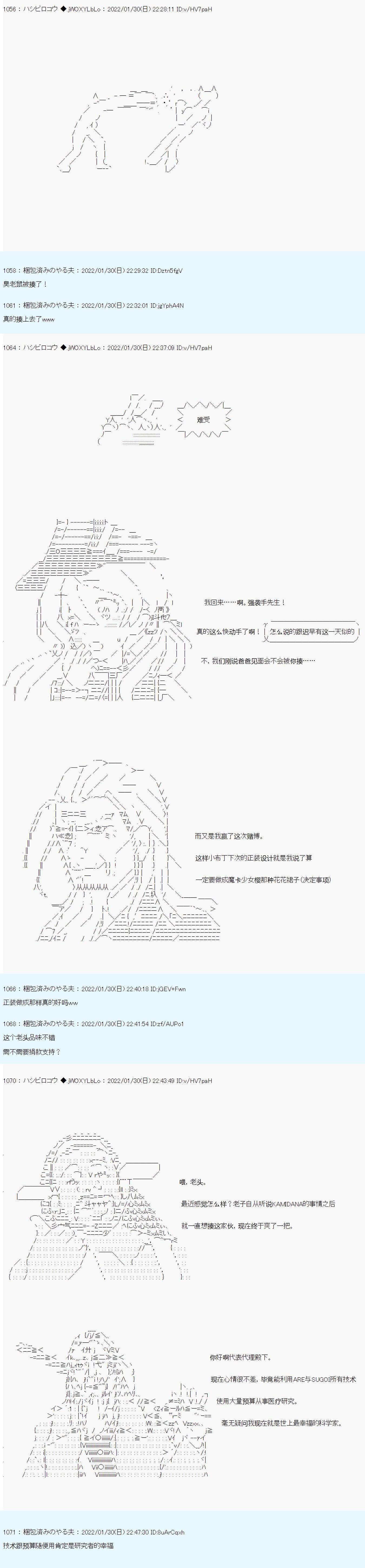17.jpg