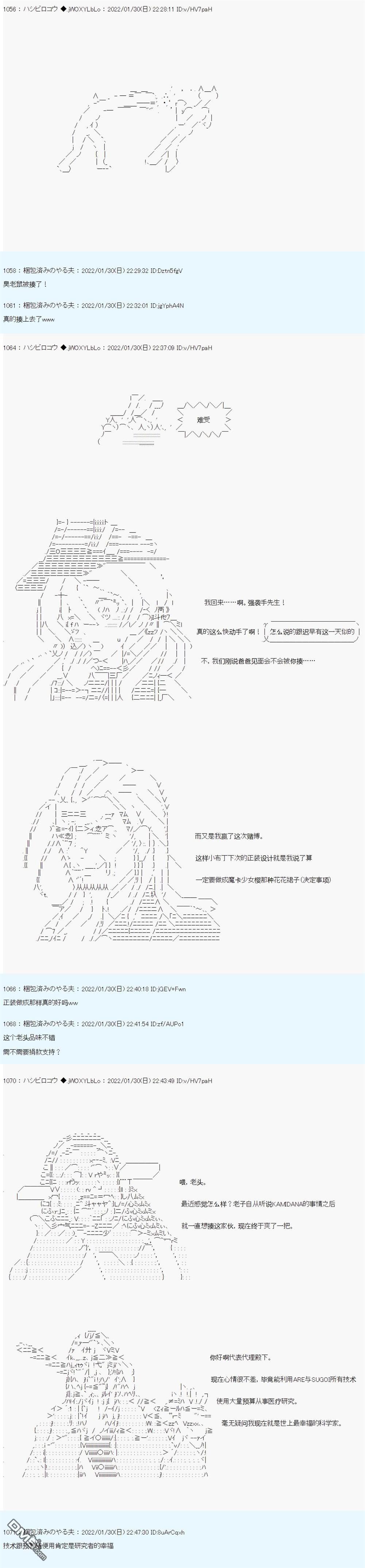 17.jpg