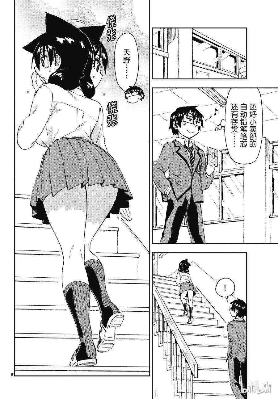 6.jpg