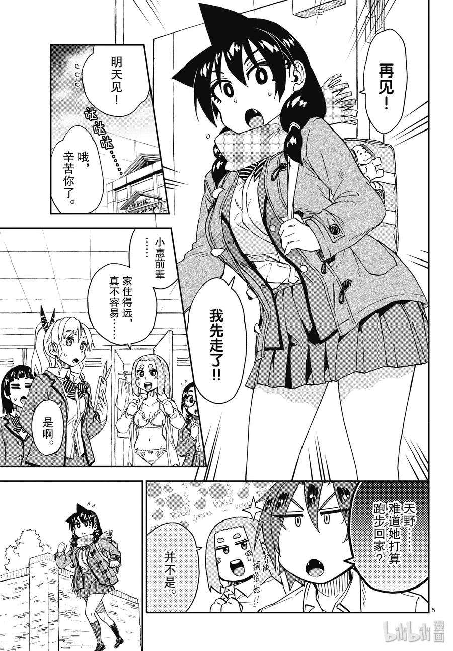 5.jpg