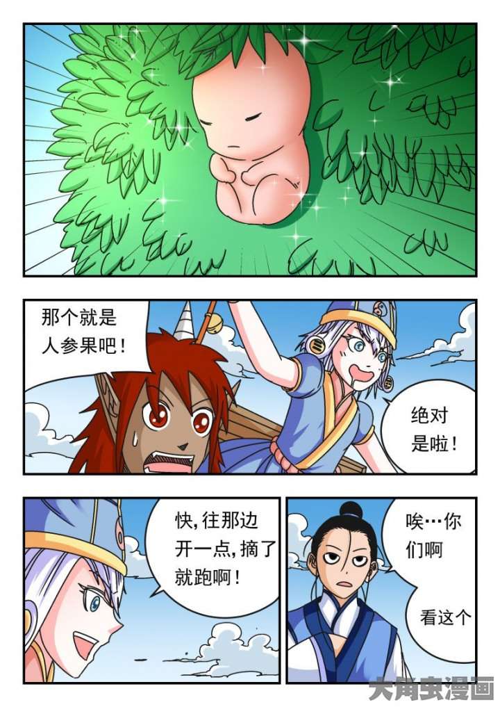 5.jpg