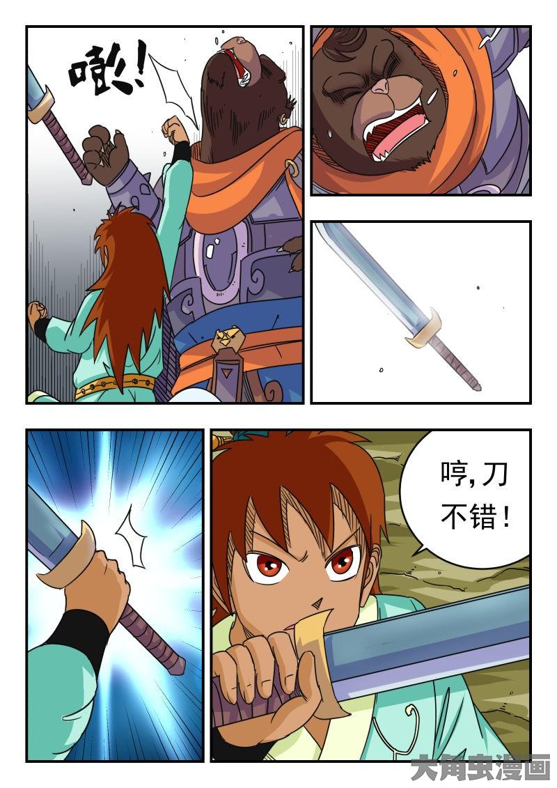 5.jpg