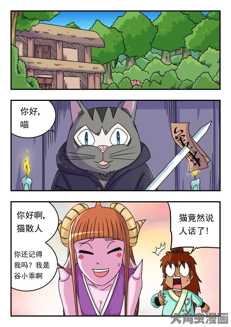 5.jpg