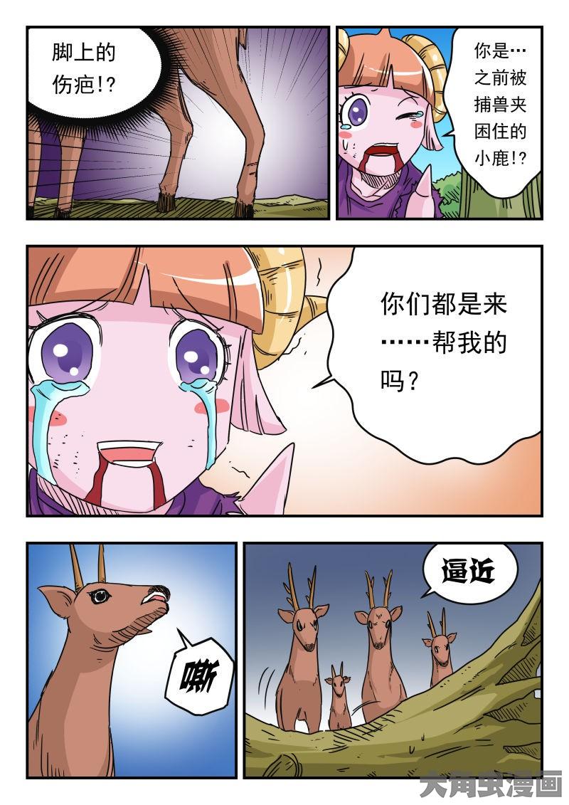 5.jpg