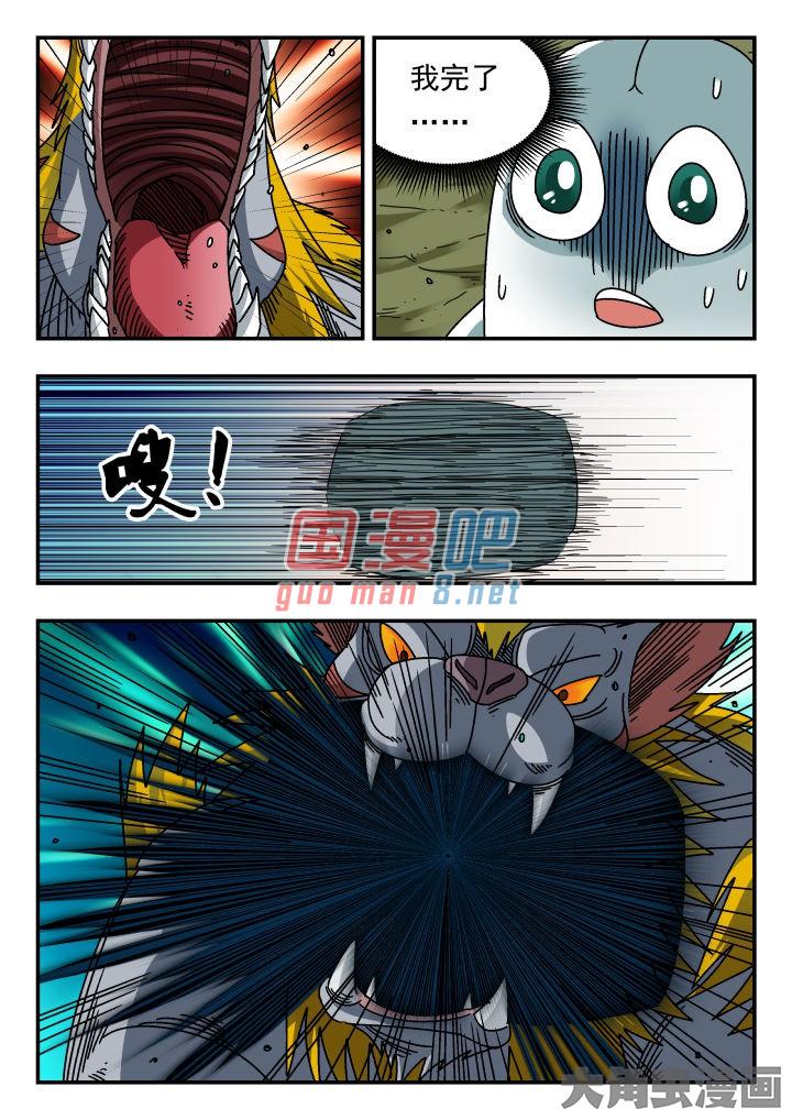 5.jpg