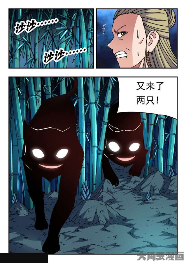 7.jpg