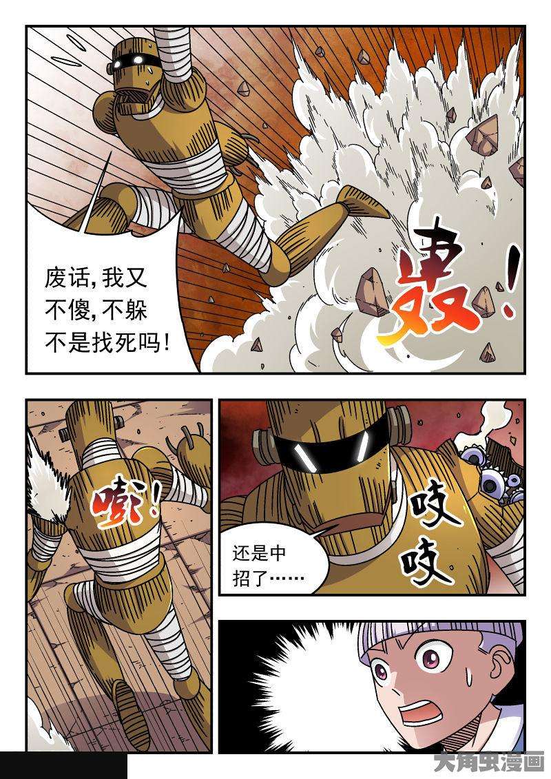 5.jpg