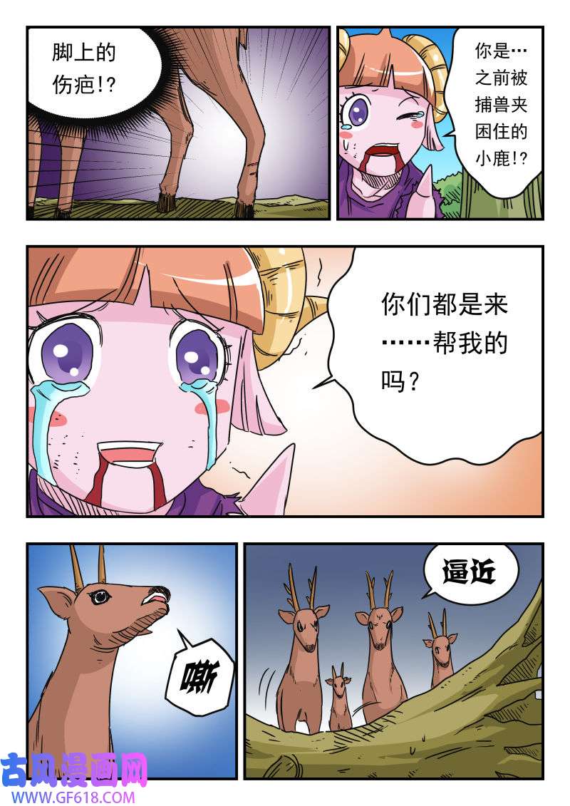 13.jpg