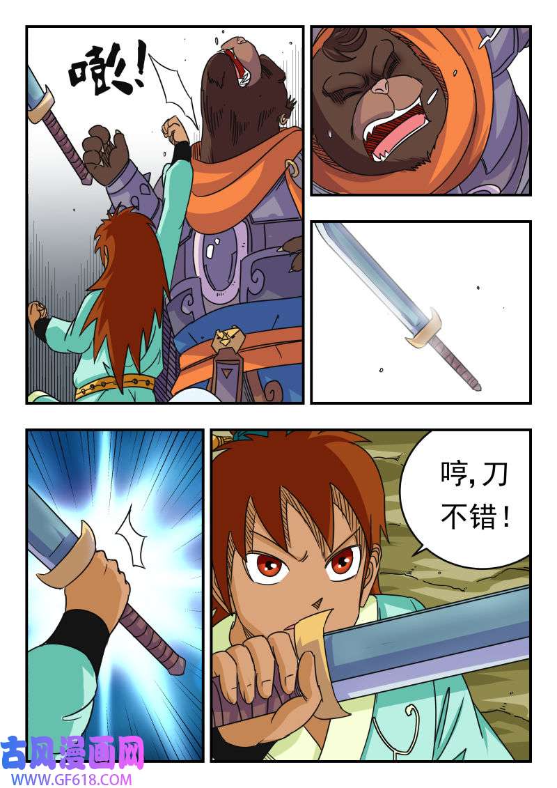 5.jpg
