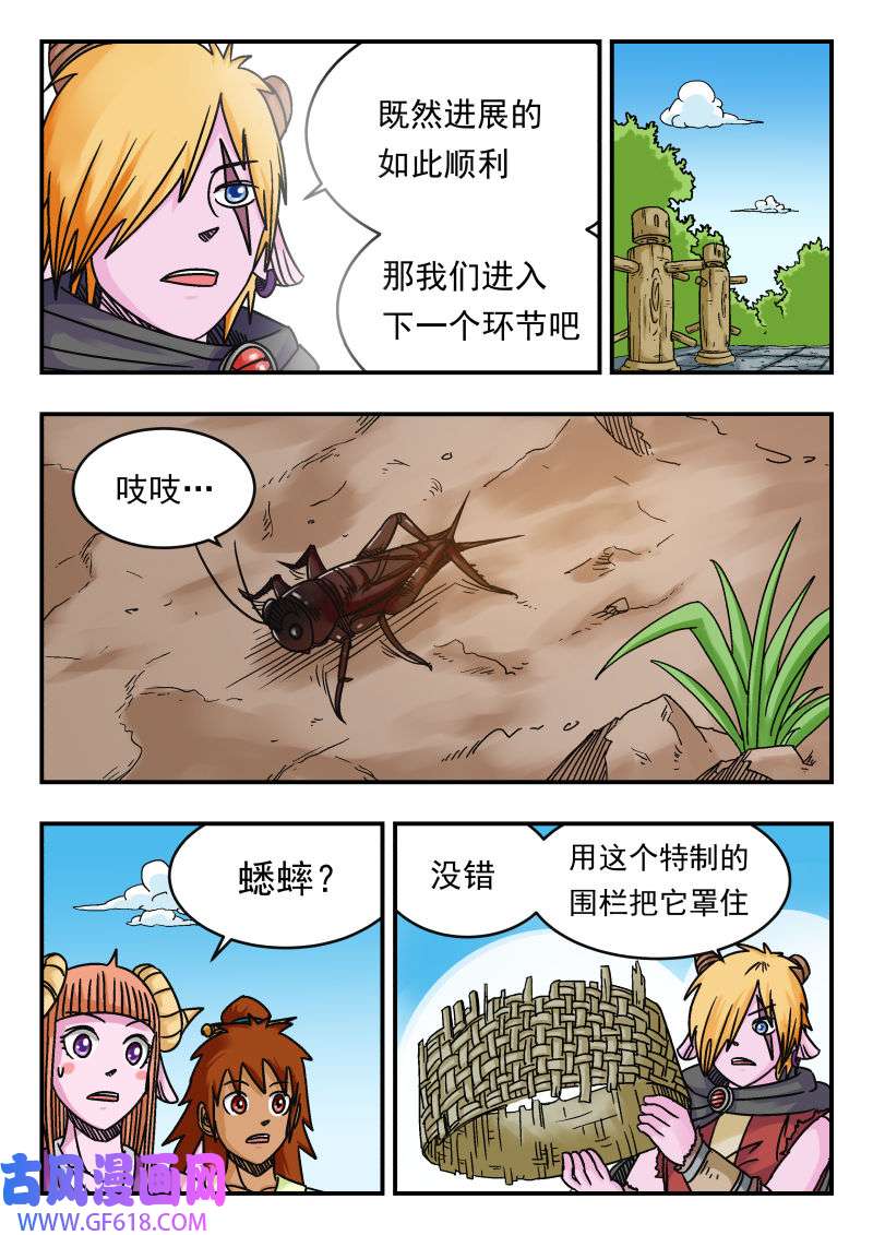 11.jpg