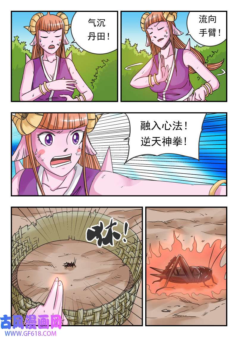 15.jpg