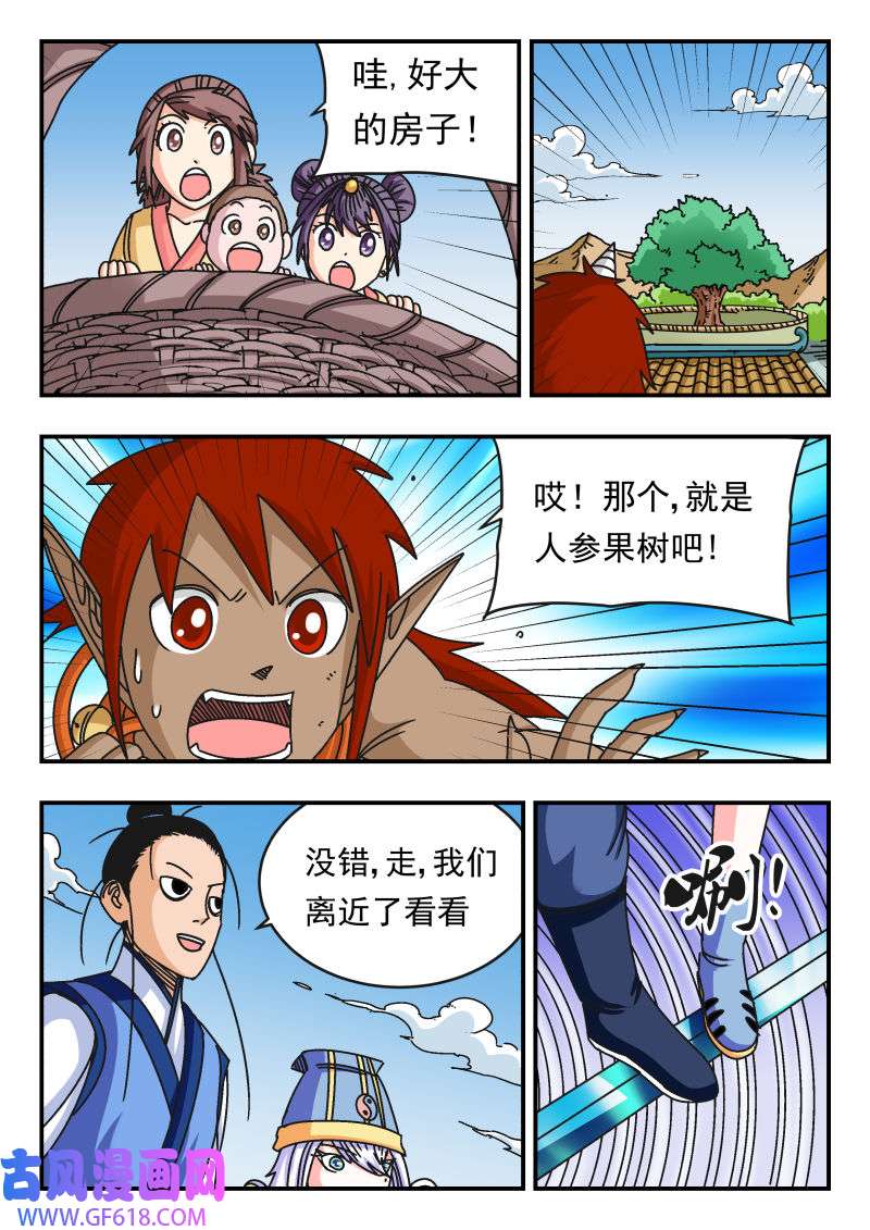 12.jpg