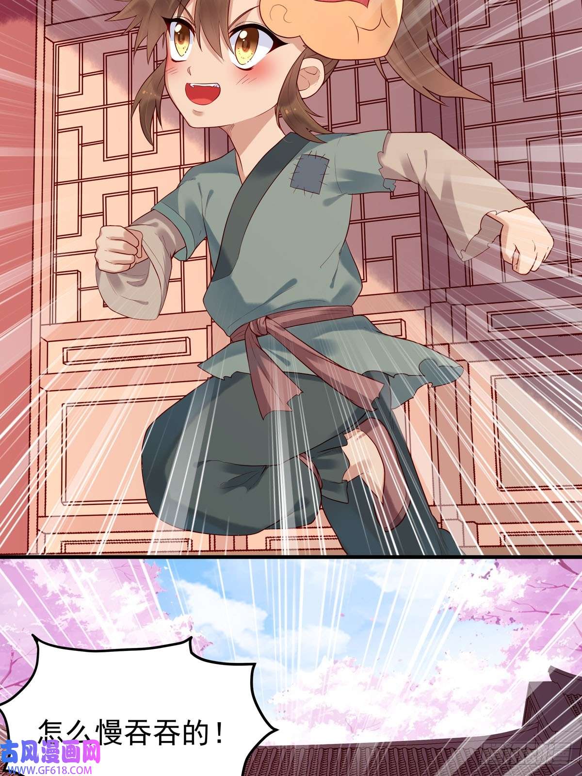 14.jpg