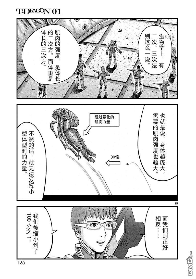 15.jpg
