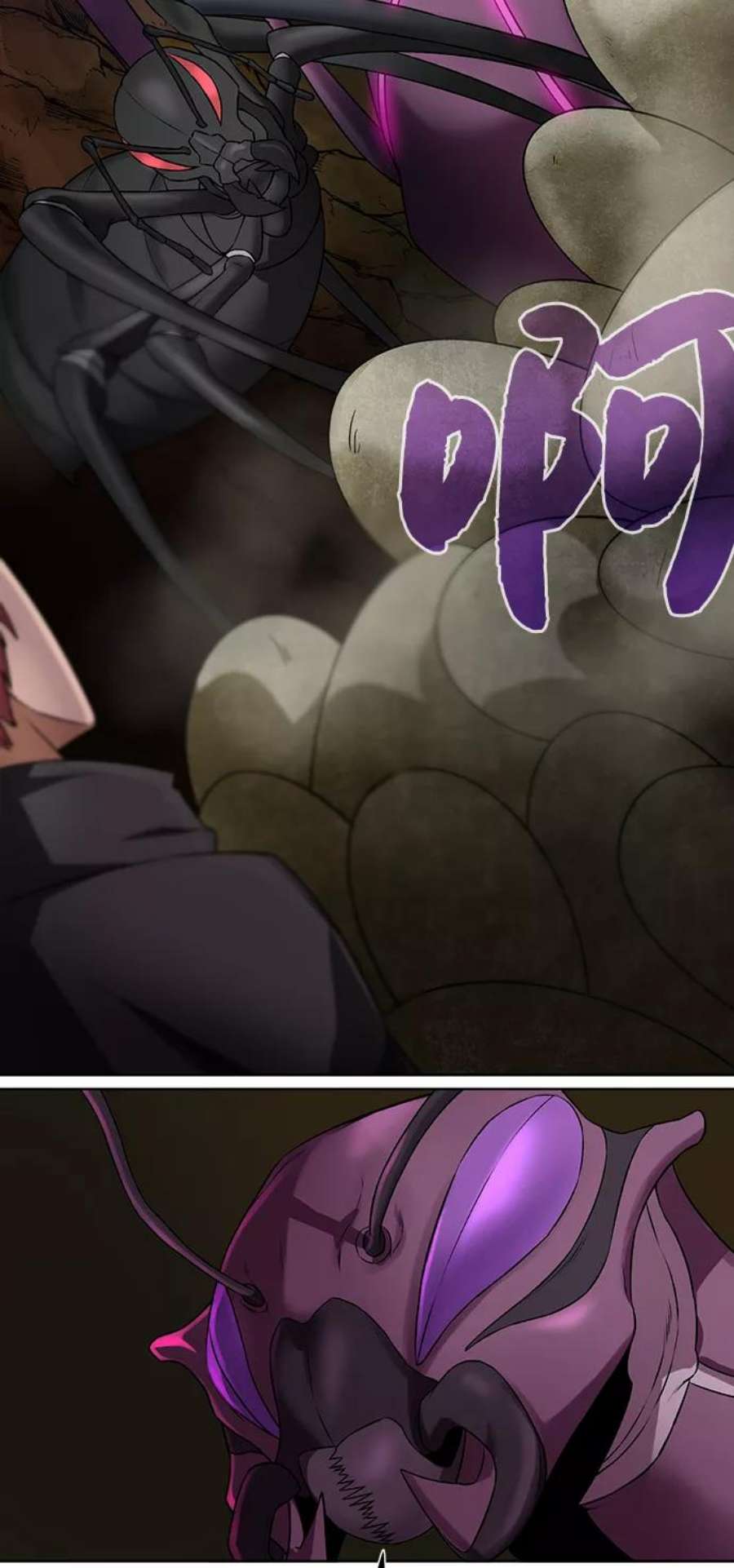 56.jpg