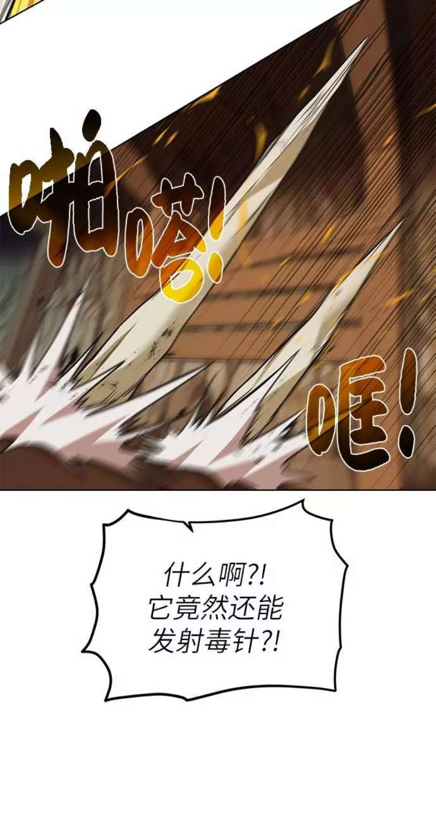 41.jpg