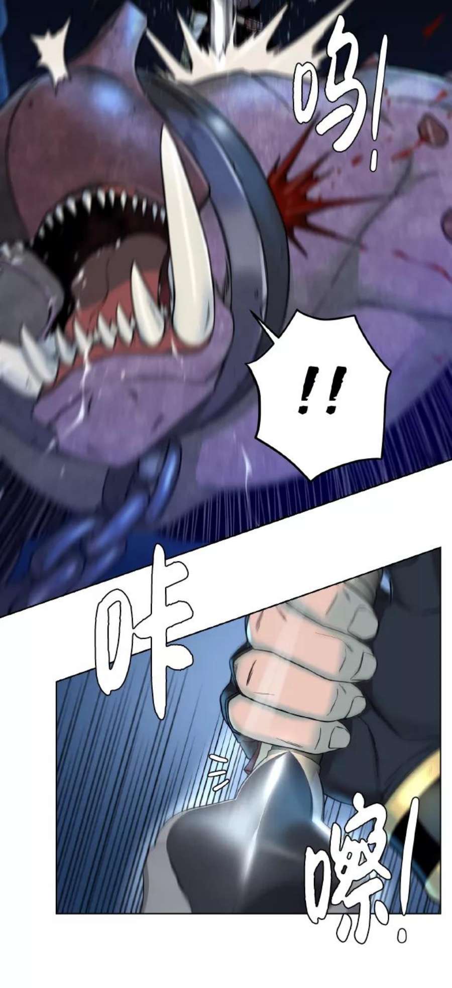 41.jpg