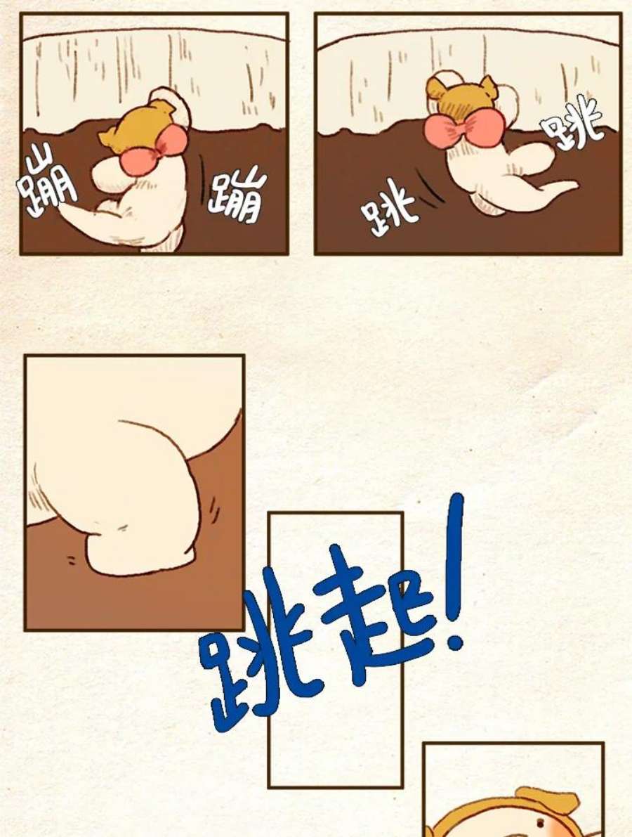 27.jpg