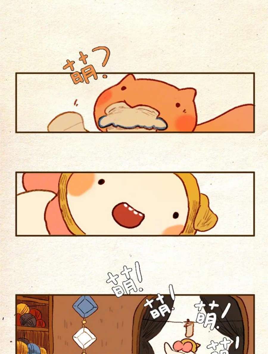 29.jpg