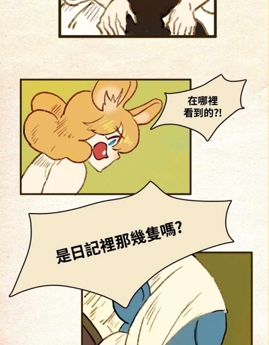 26.jpg