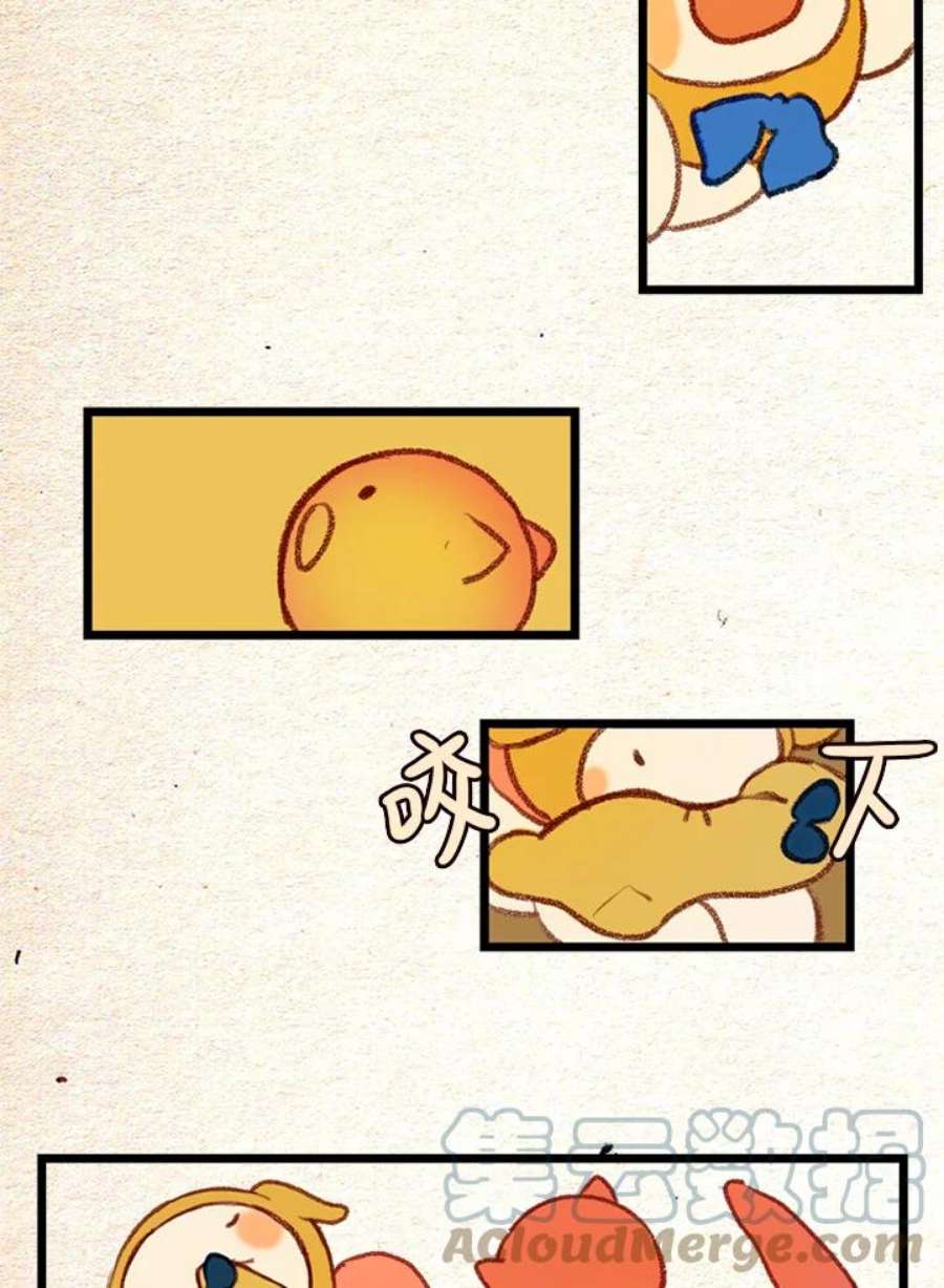 35.jpg