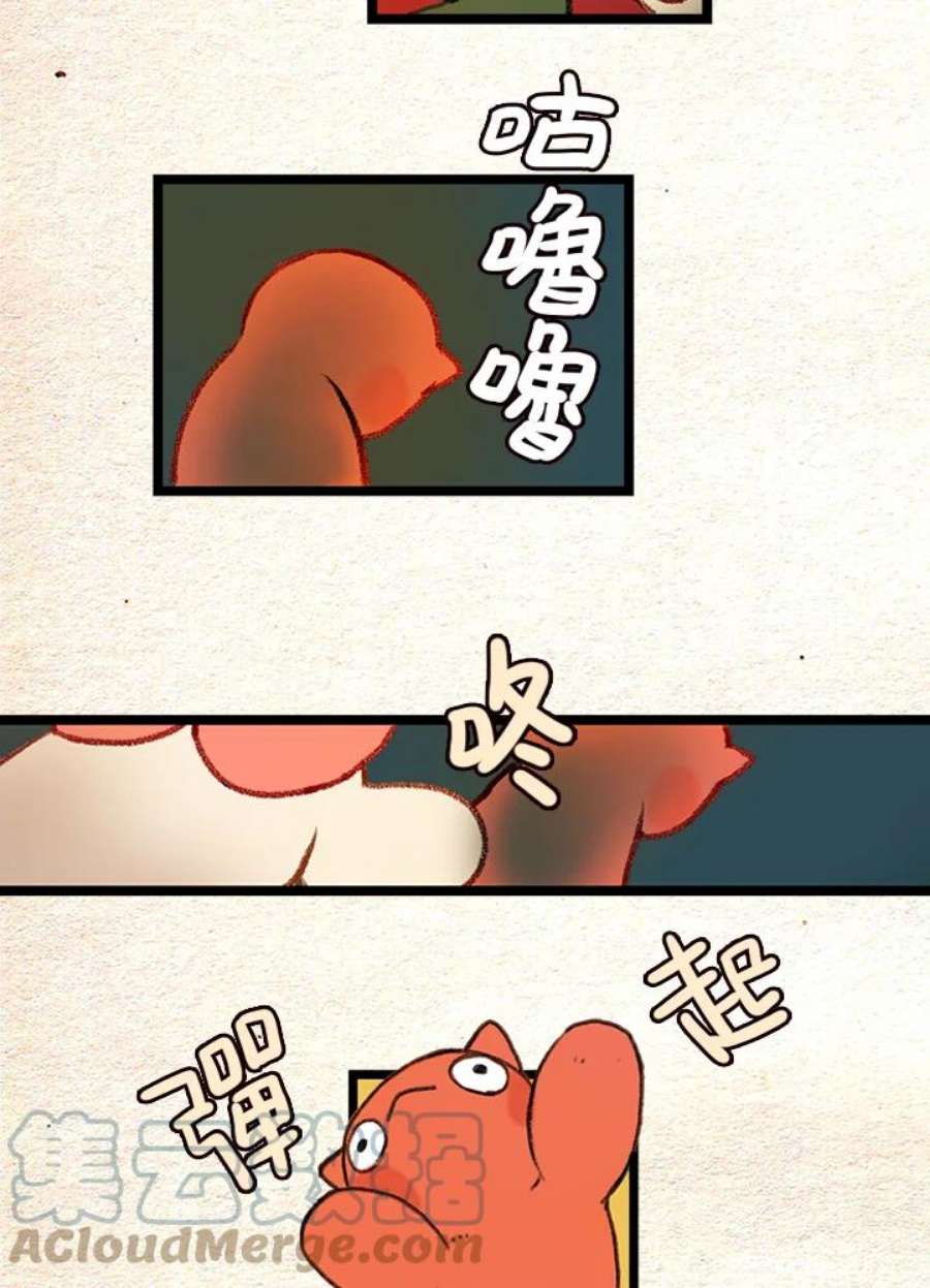 31.jpg