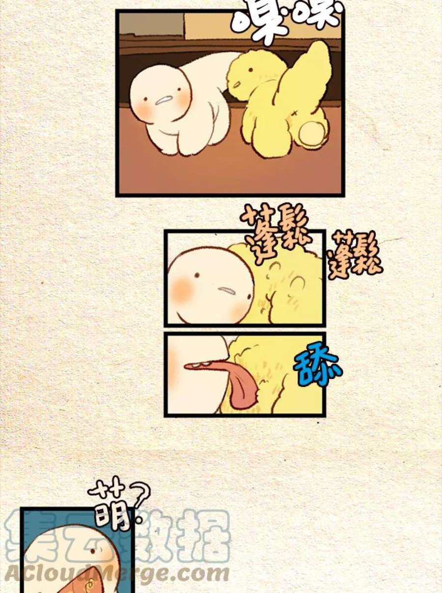 29.jpg