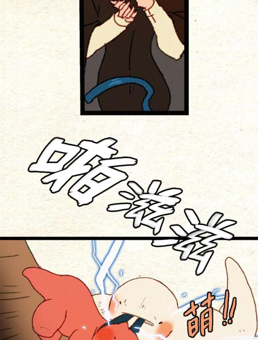 35.jpg