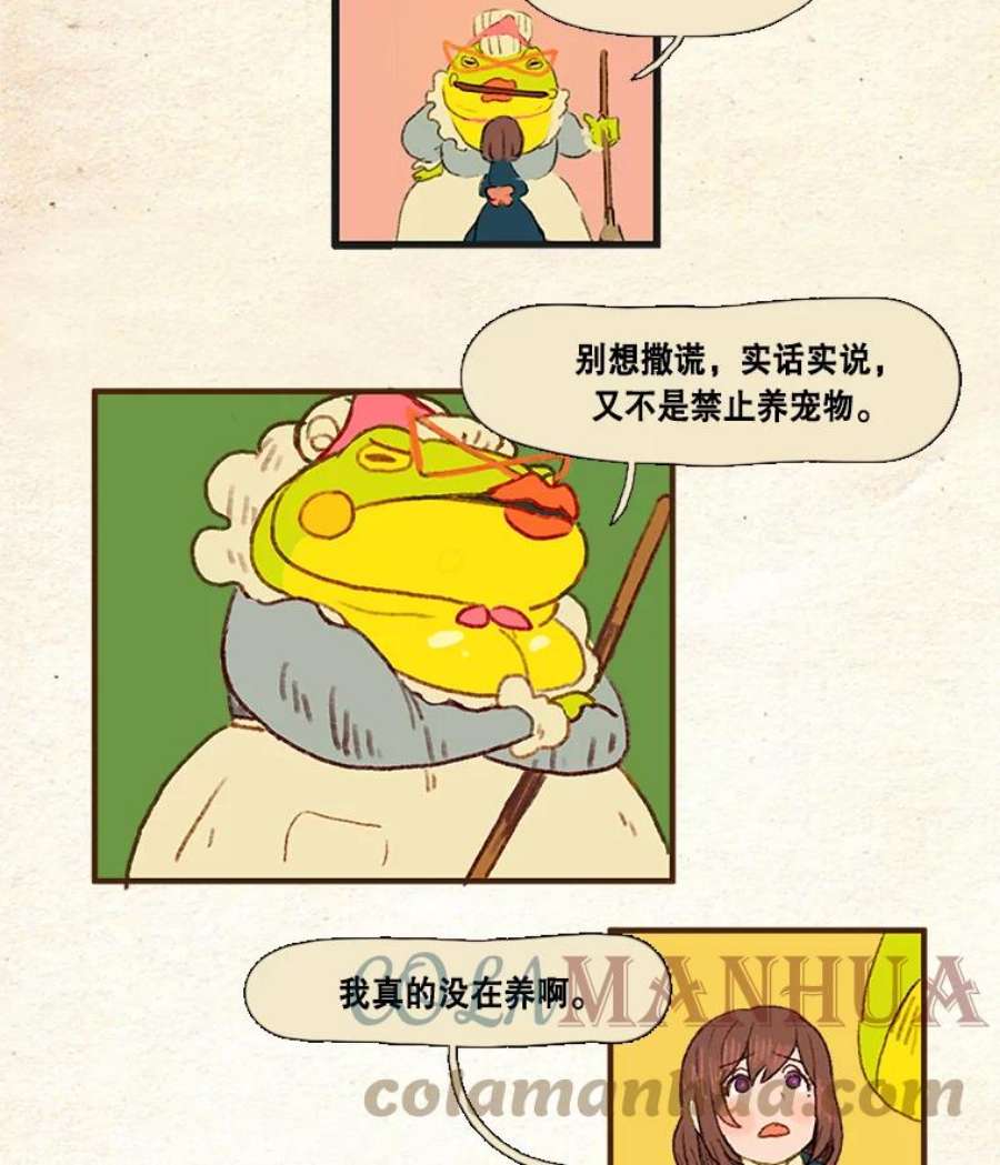 25.jpg