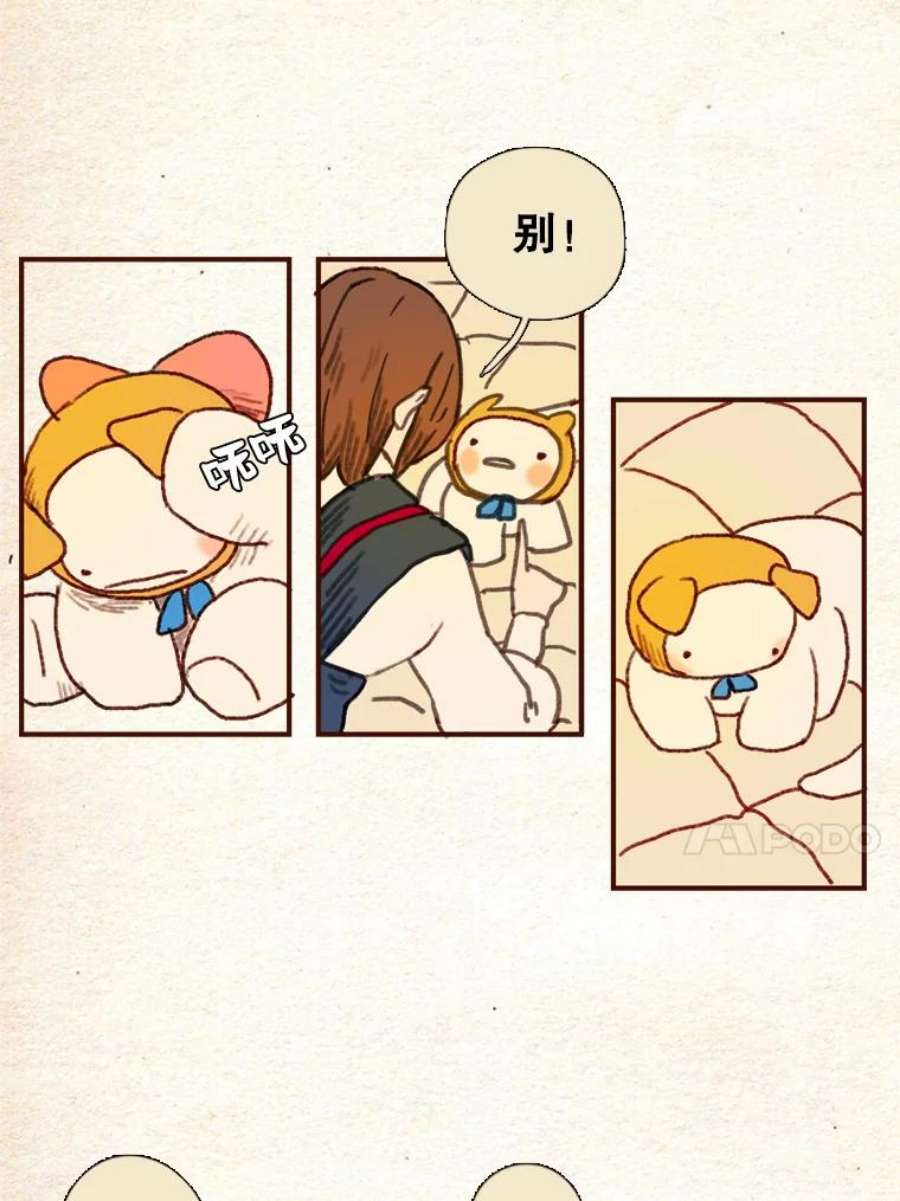 41.jpg