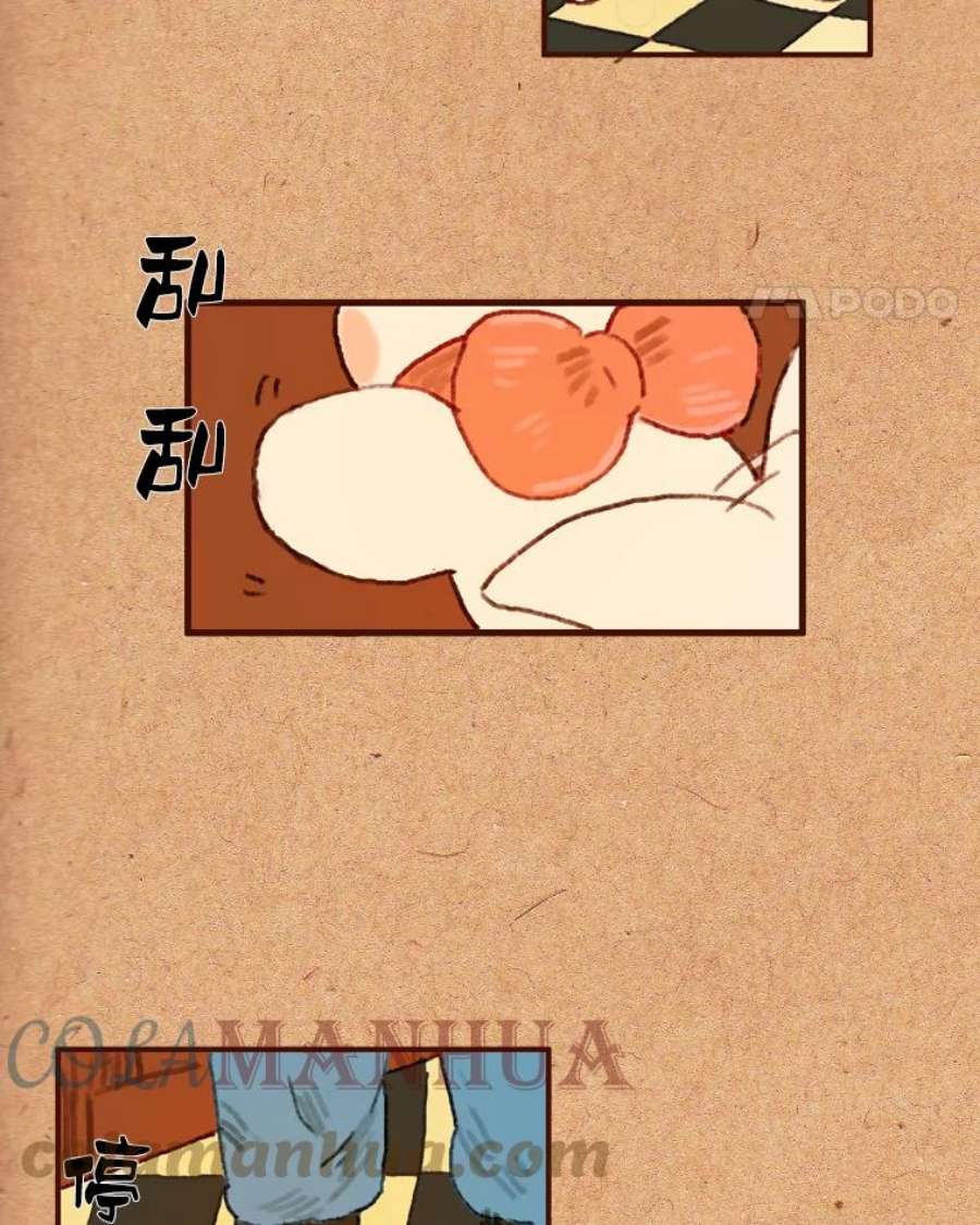43.jpg