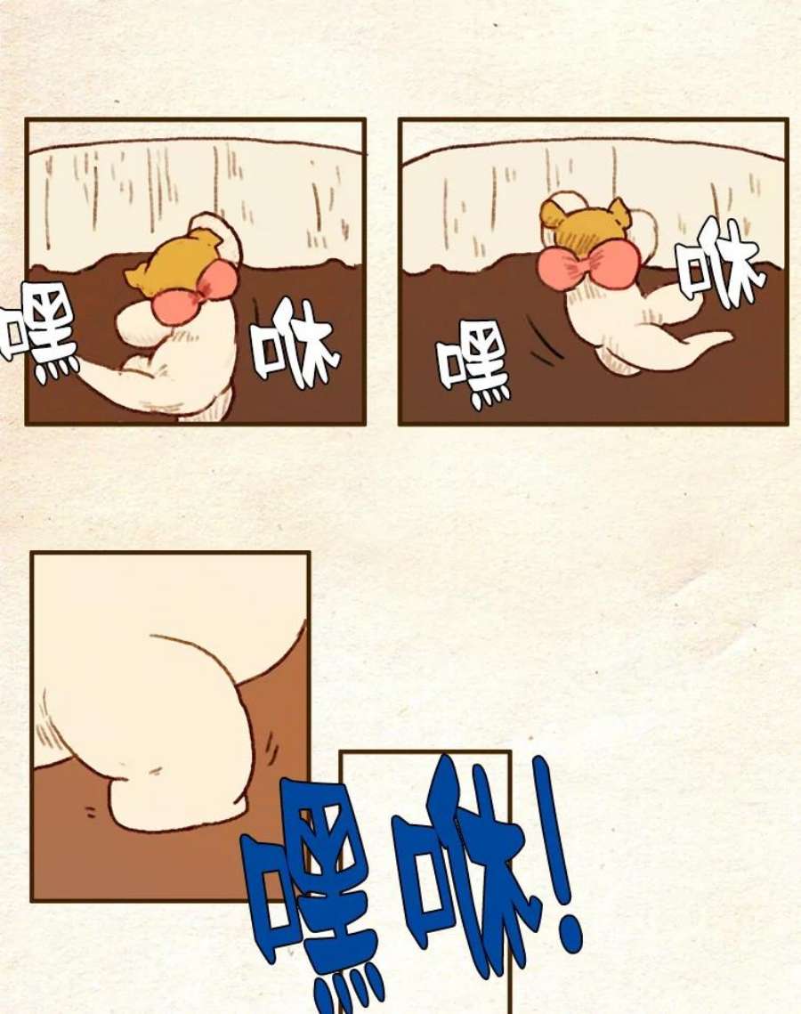 29.jpg