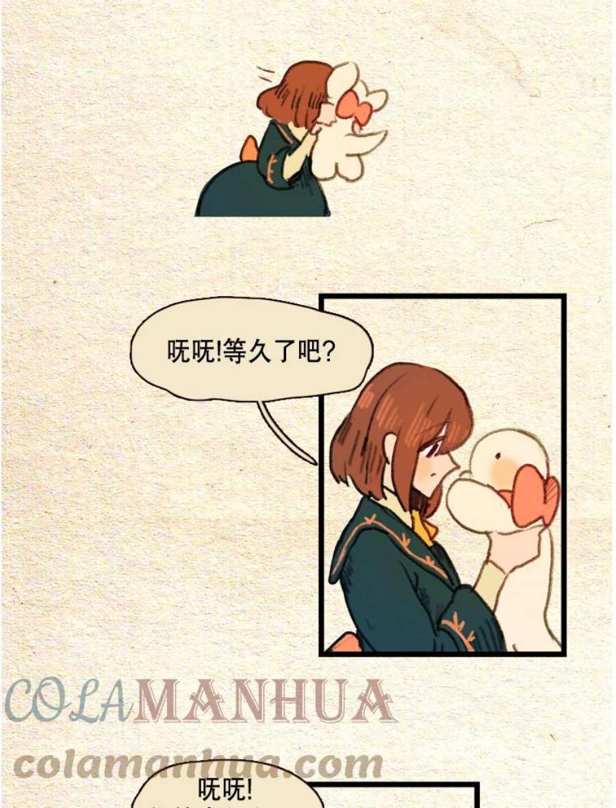 29.jpg