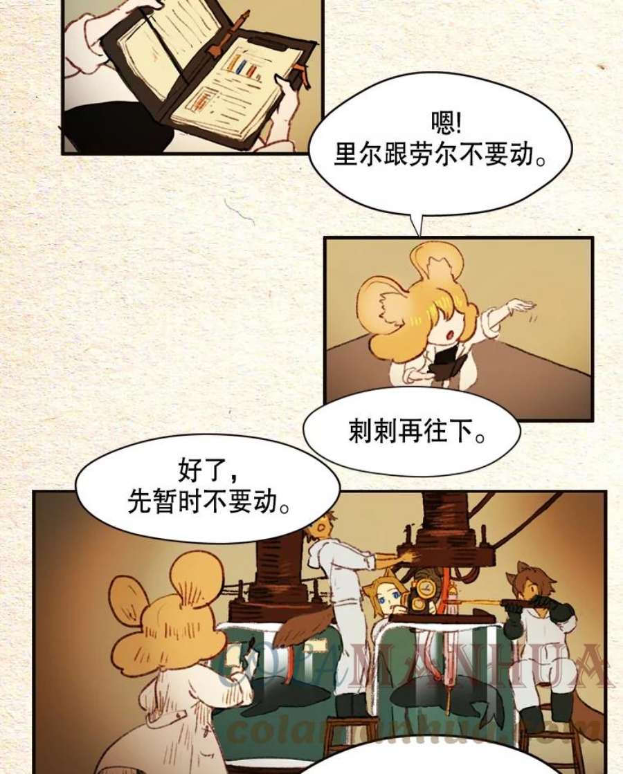 46.jpg